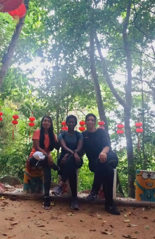 大山脚休养林景点图片