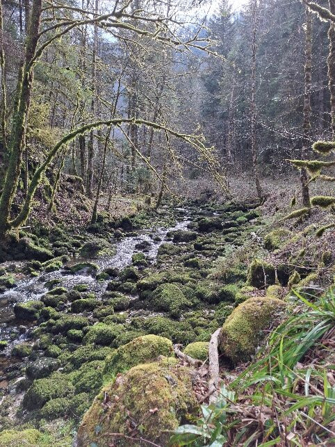 Gorges du Pichoux-Undervelier必去景点