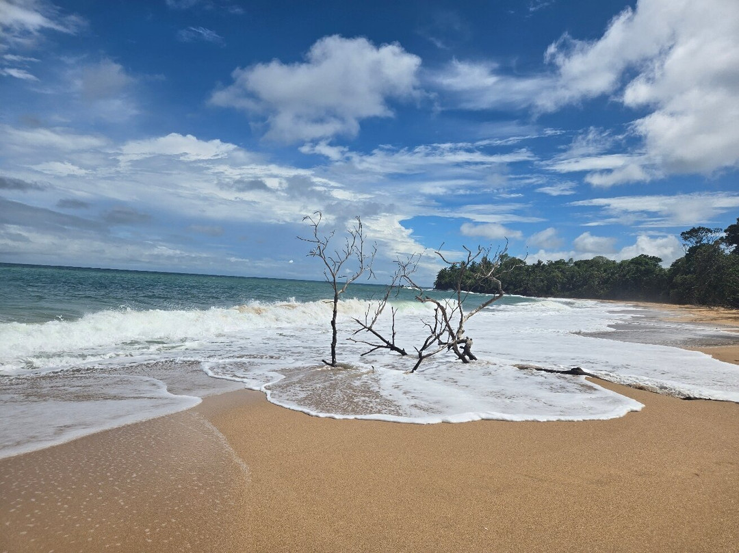 Playa Bluff景点图片