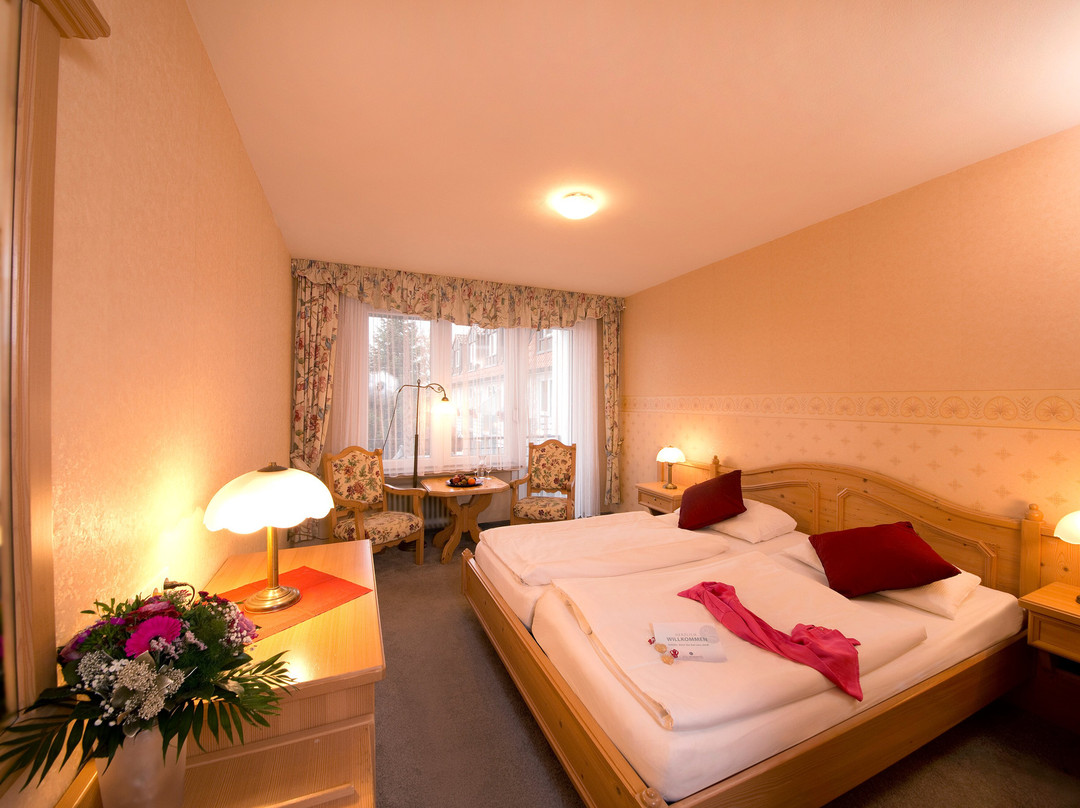 Hotel-heikenberg主图