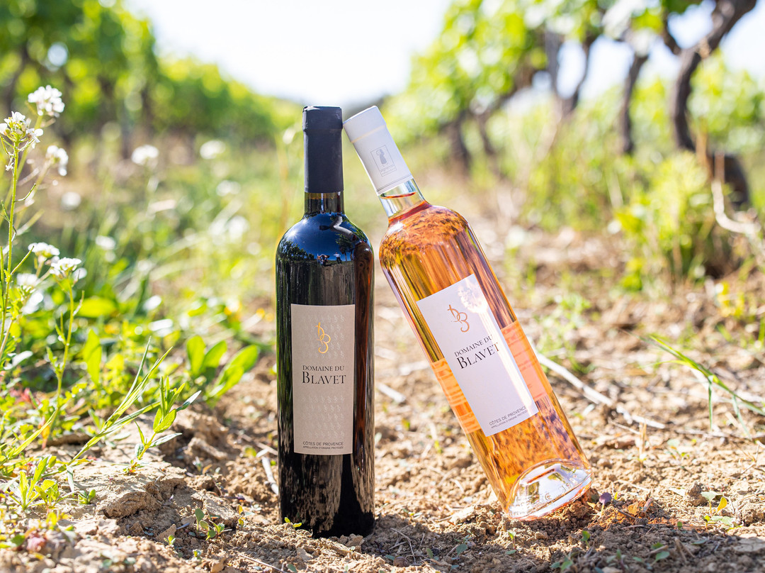 Domaine Du Blavet景点图片