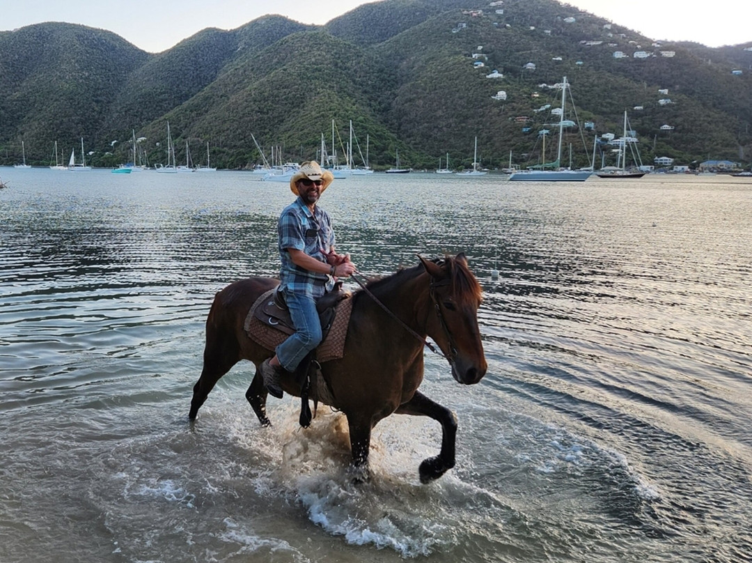 Carolina Corral-Coral Bay必去景点