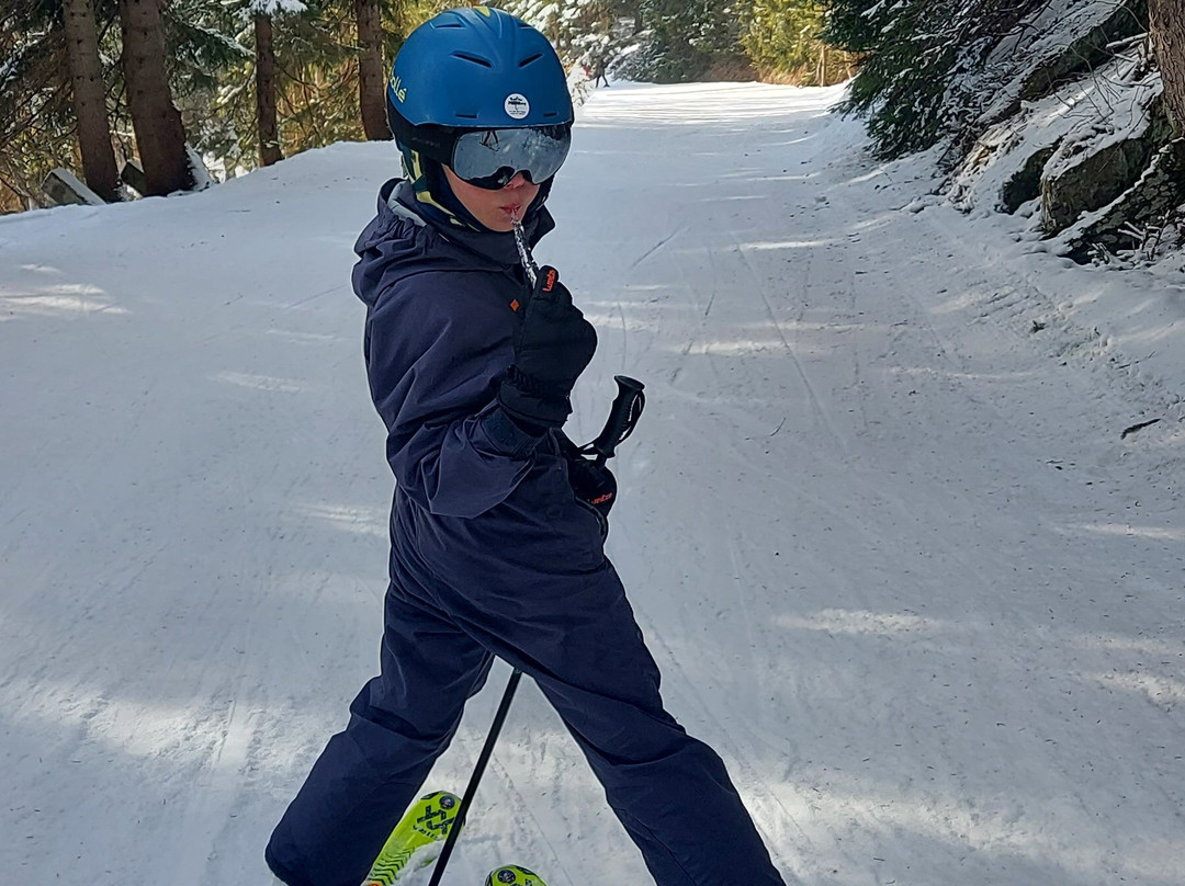 SnowMonkey Ski & Snb School & Rental景点图片