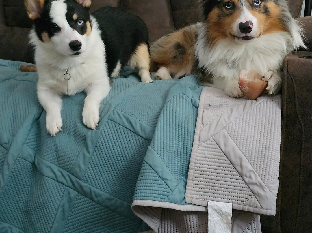 Hilton Garden Inn Corpus Christi主图