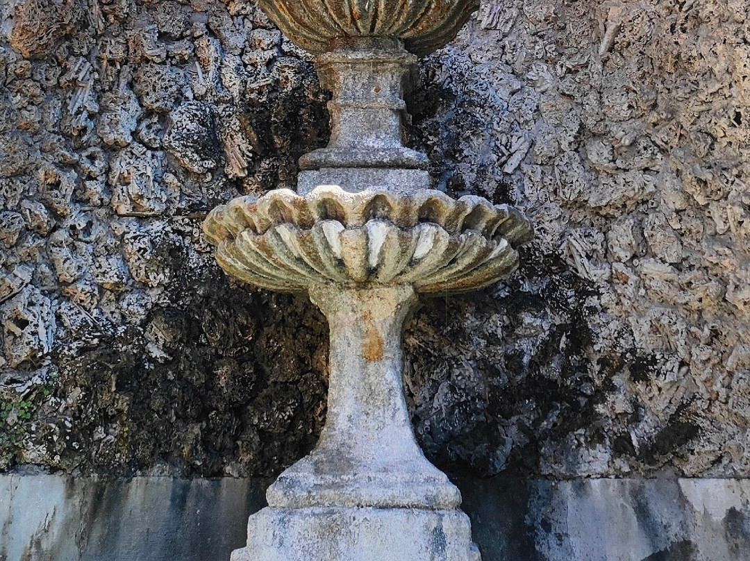 Fontana di Piazza San Pietro景点图片