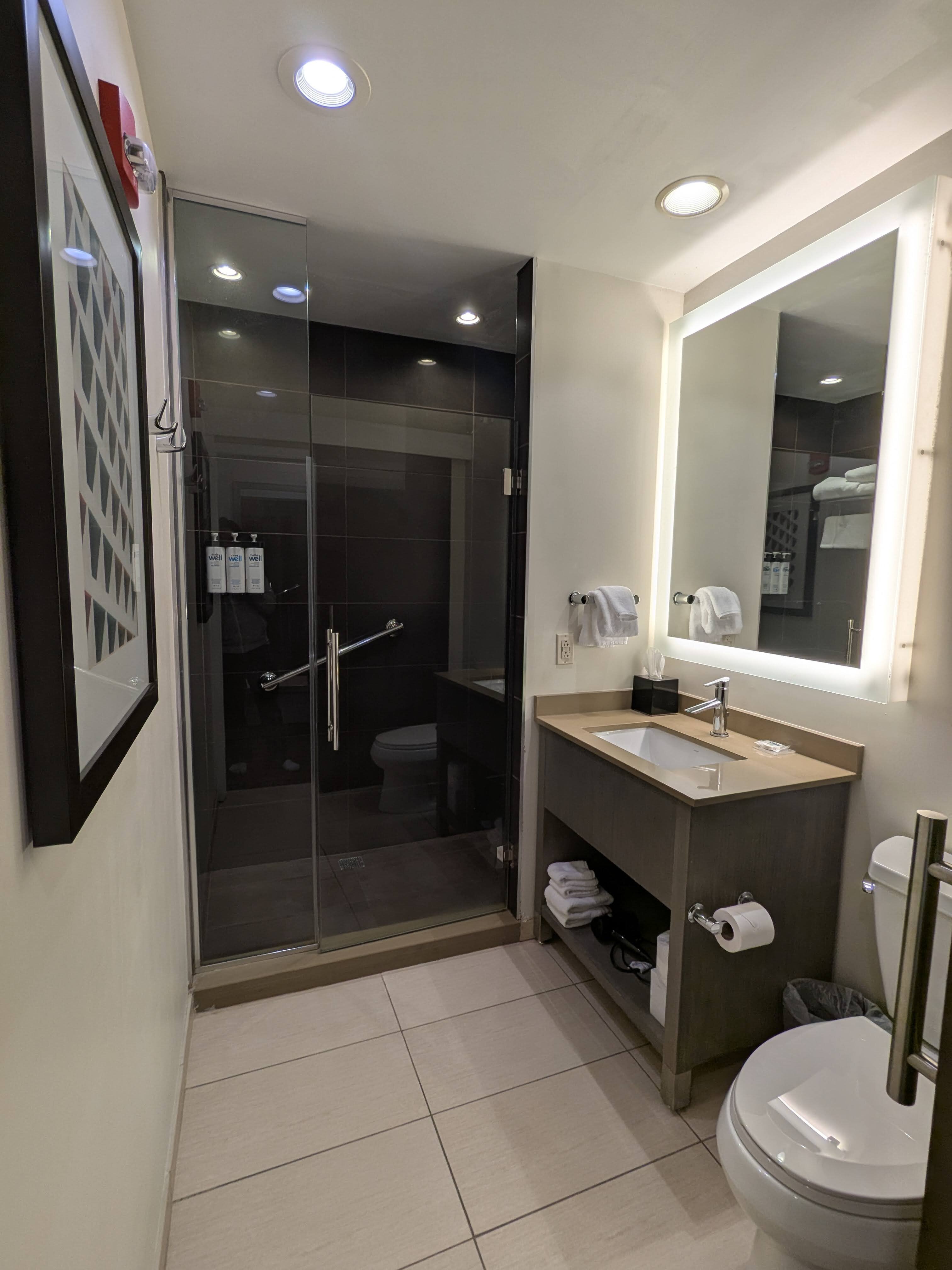 Hyatt House Pittsburgh / Bloomfield / Shadyside-浴室
