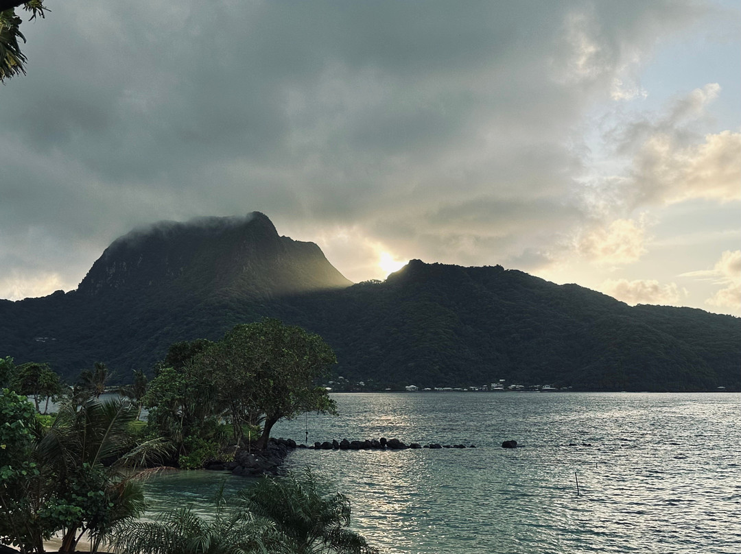 Sadie's by The Sea主图