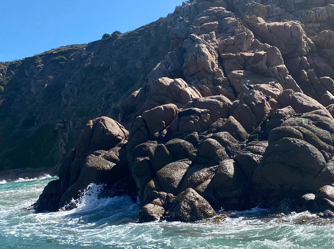 Ocean Adventures Phillip Island景点图片