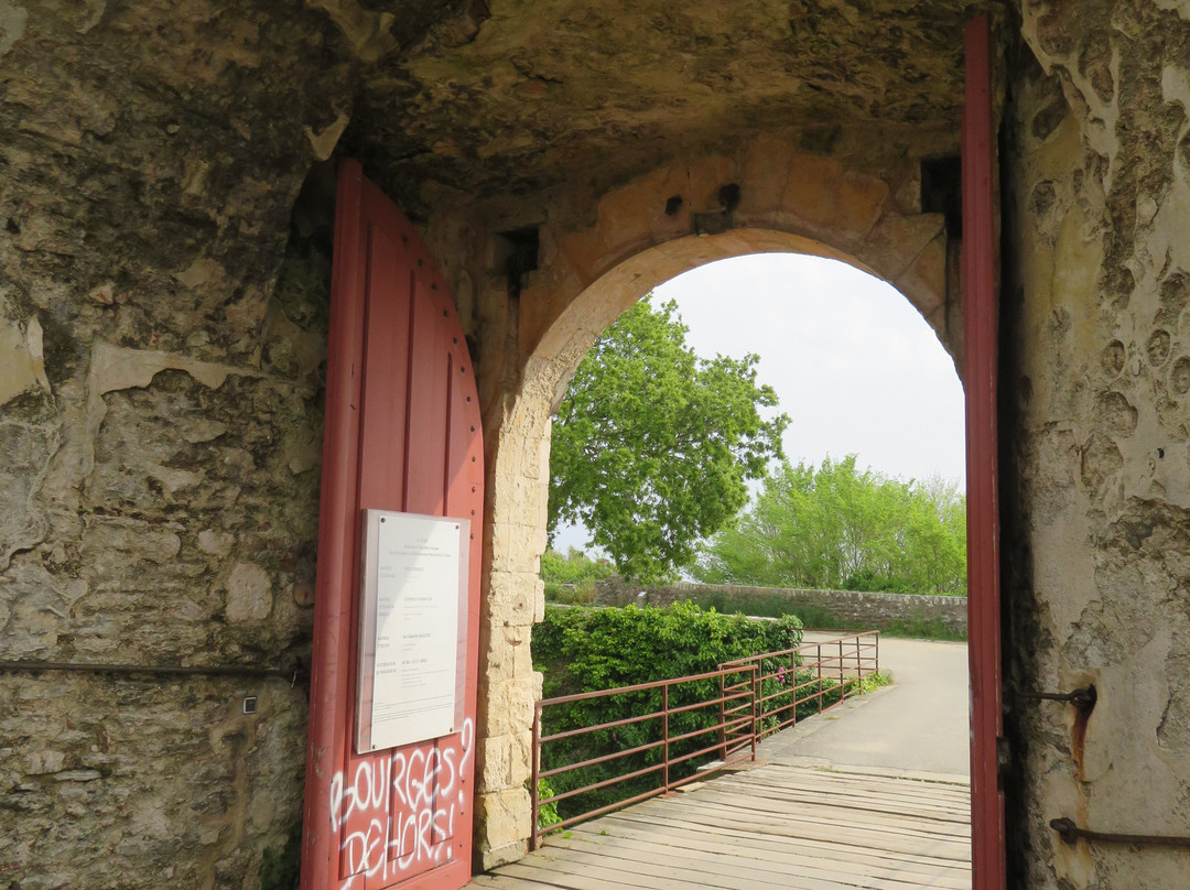 Musée Citadelle Vauban景点图片