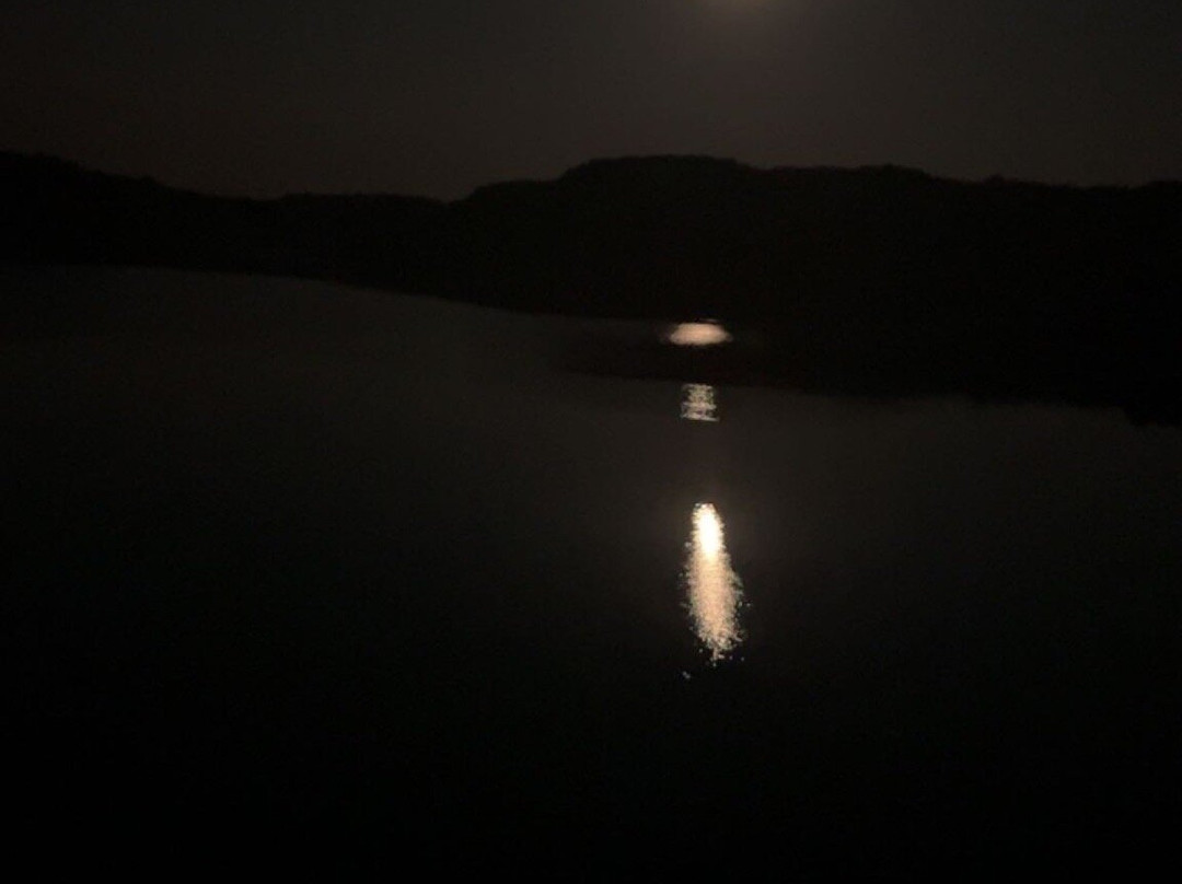 Redhead Mountain Bike Park-Chisholm必去景点