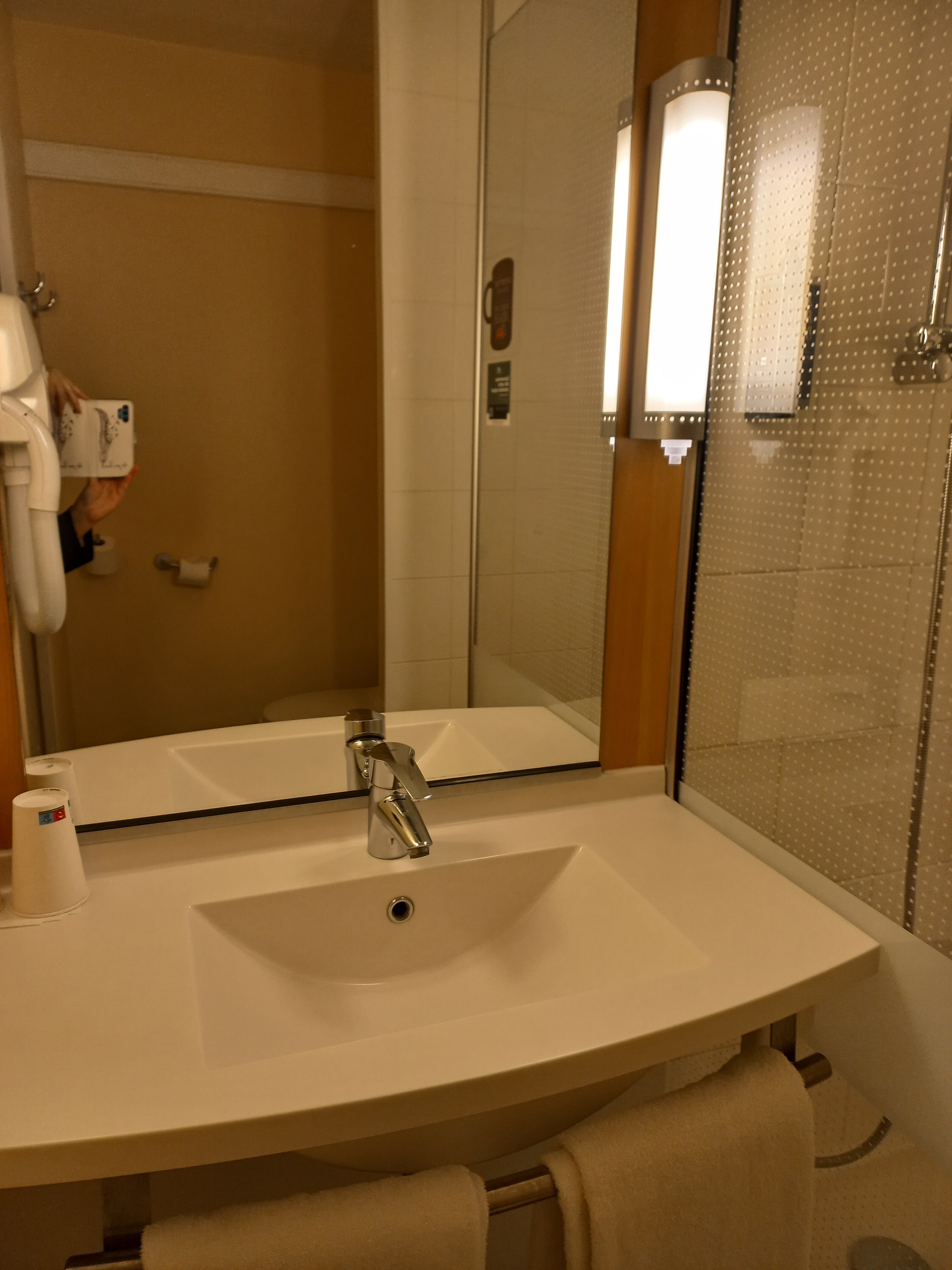 宜必思普瓦捷博利厄酒店-客卧