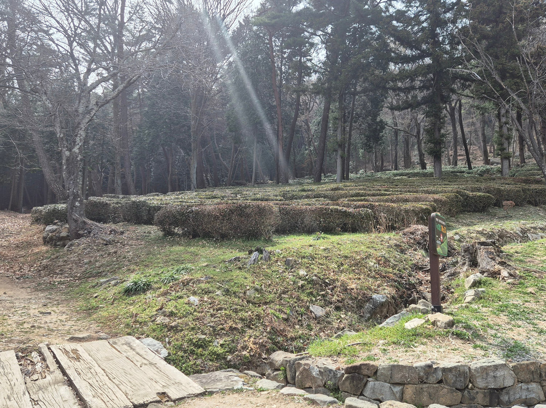 Dasolsa Temple-泗川市必去景点