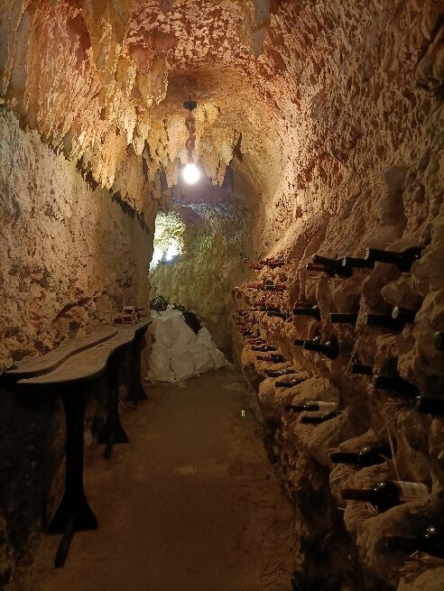 Museum of Wine-梅尔尼克必去景点