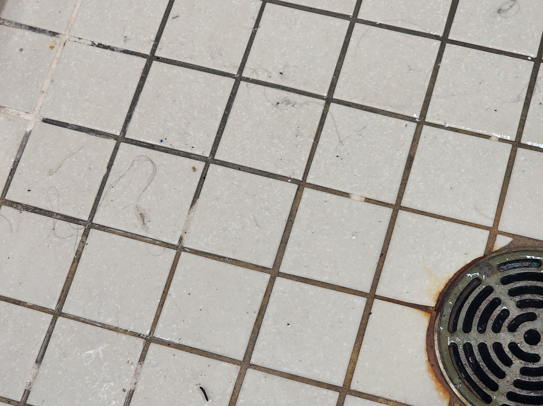 Travelodge by Wyndham Sydney主图