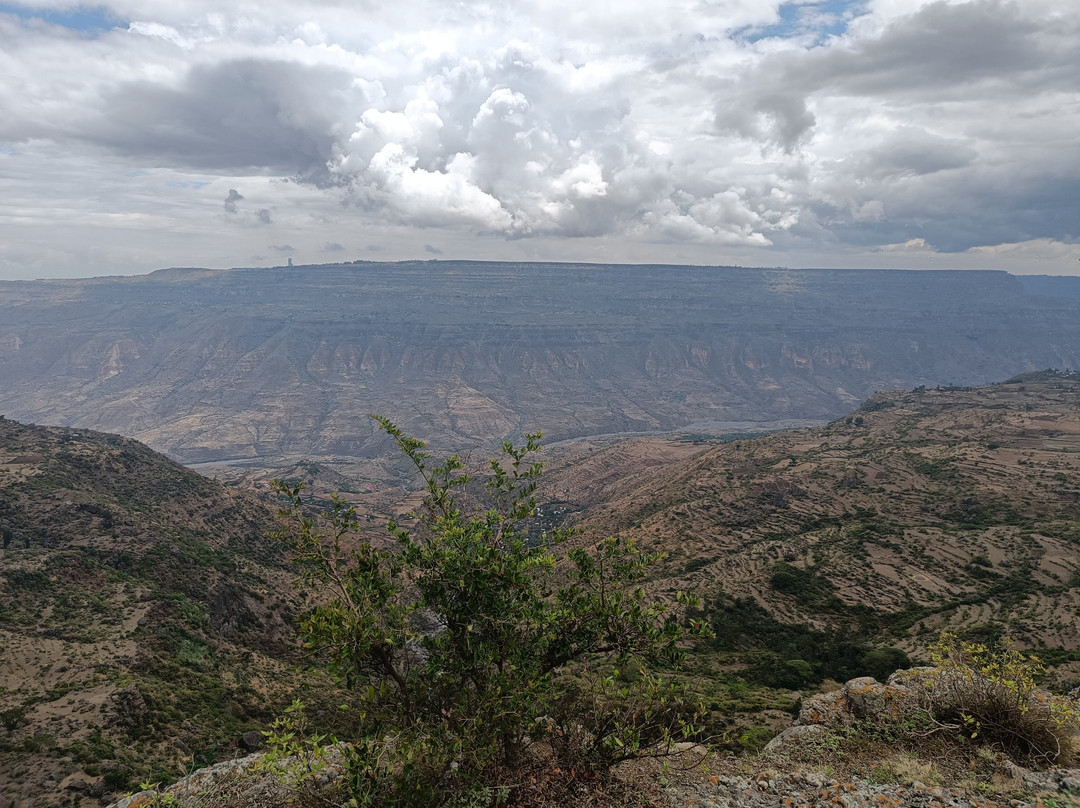 Pure Love Ethiopia景点图片