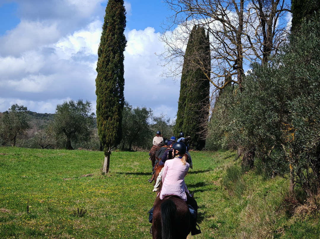 Castello del Calcione主图