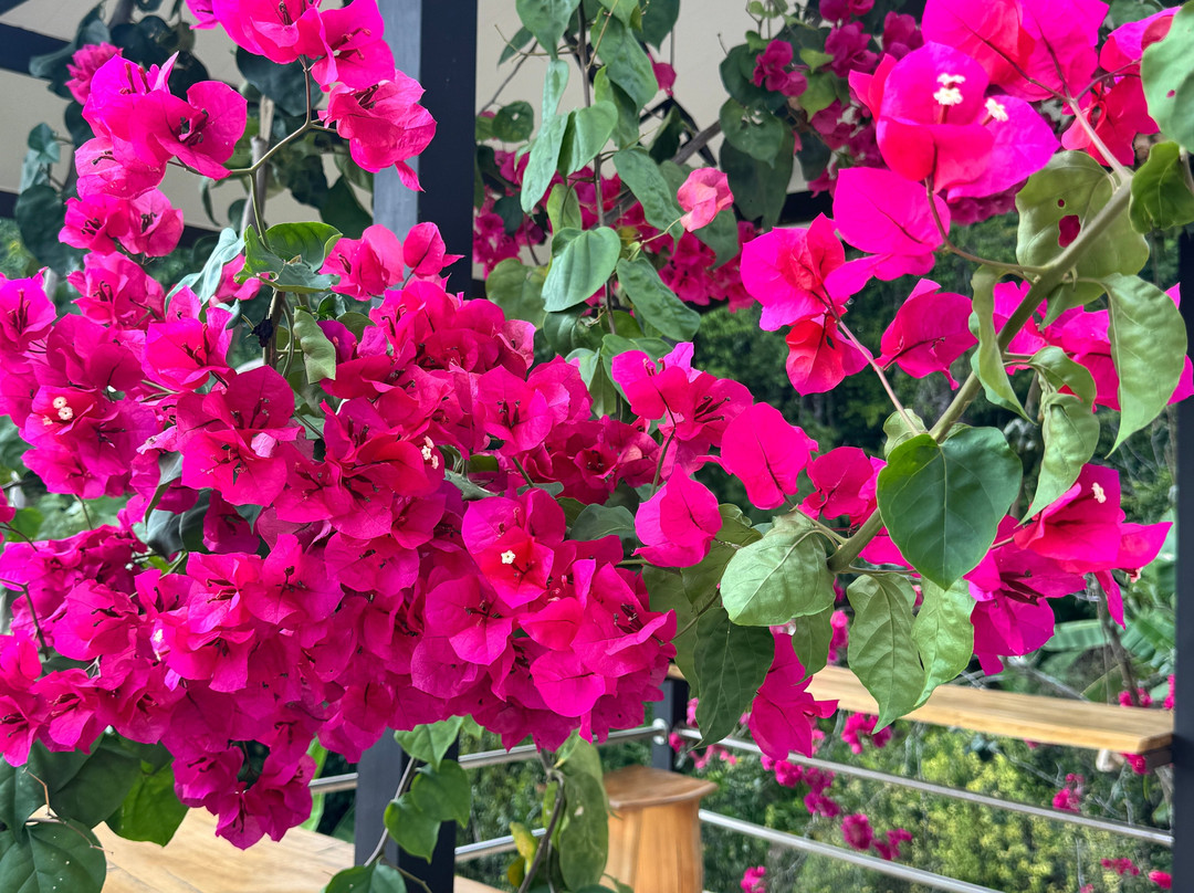 Wil Tours-Savegre必去景点