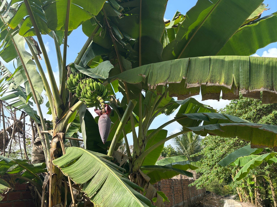 Halong Bay Tour-河内必去景点