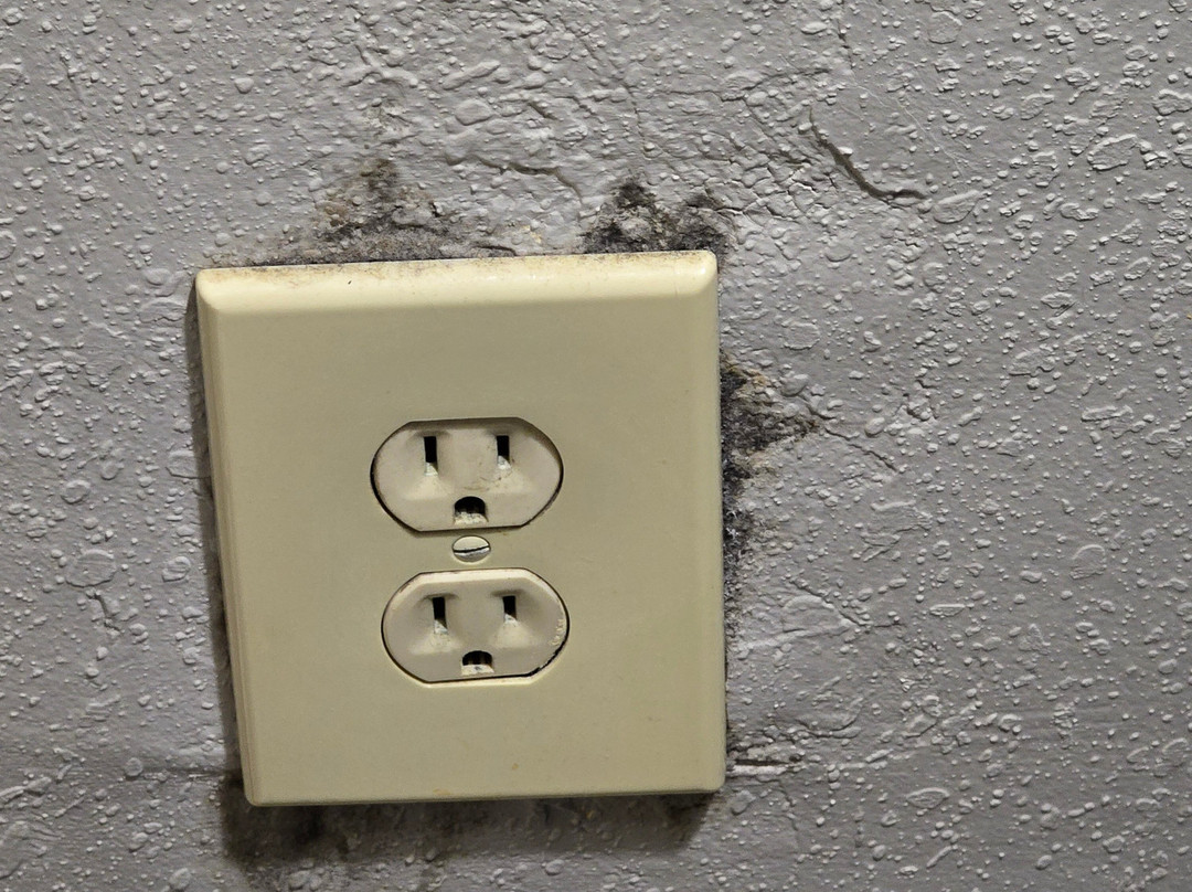 Hampton Inn & Suites Charlotte/pineville主图