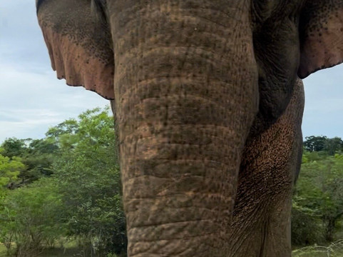 Ceylon Tours Banuka-美蕊沙必去景点