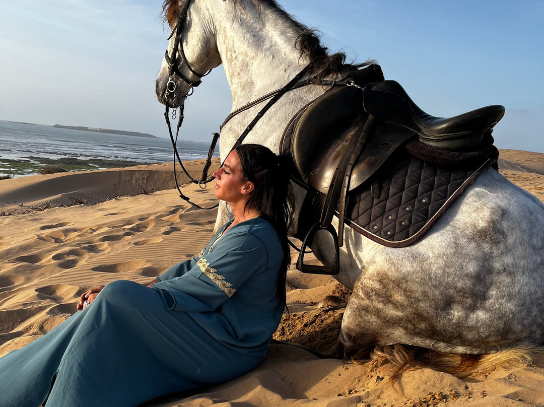 Ocean Ranch Essaouira-索维拉必去景点