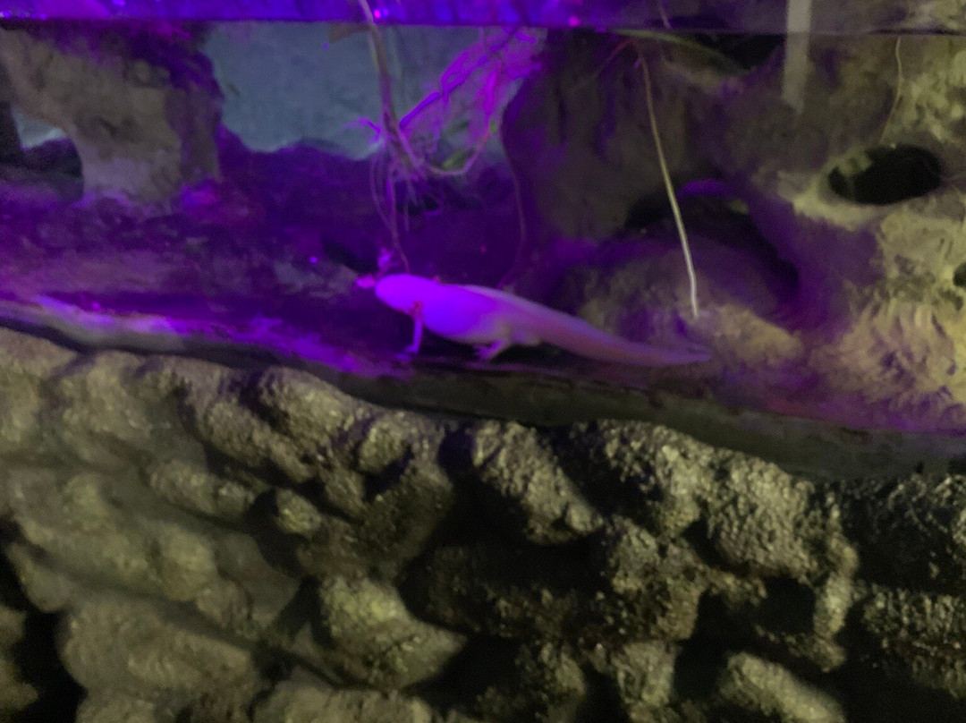 Plantasia Tropical Zoo景点图片