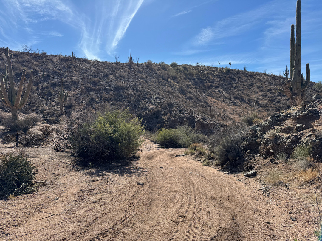 UTV Offroad Adventures-凤凰城必去景点
