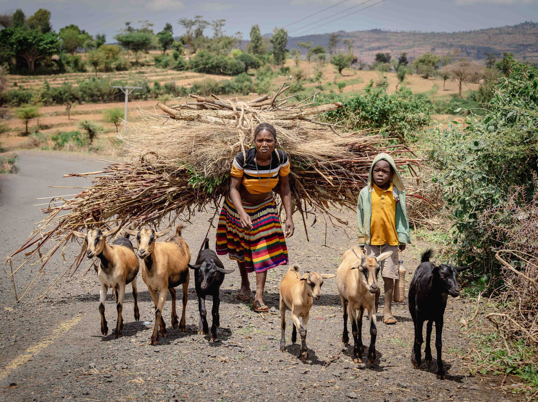 Grand Holidays Ethiopia Tours景点图片