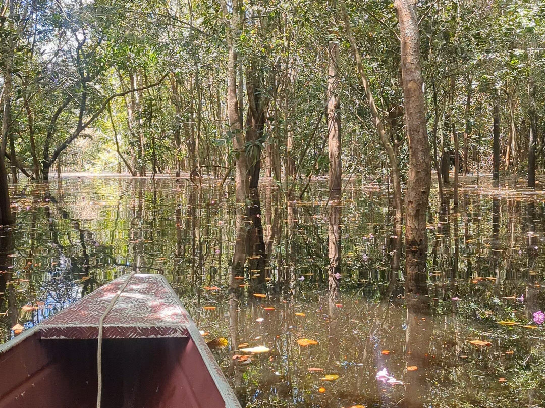Vista Do Lago Jungle Lodge主图