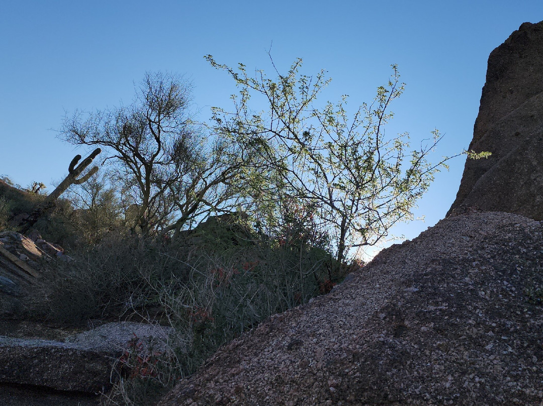 Pinnacle Peak Park-斯科茨代尔必去景点