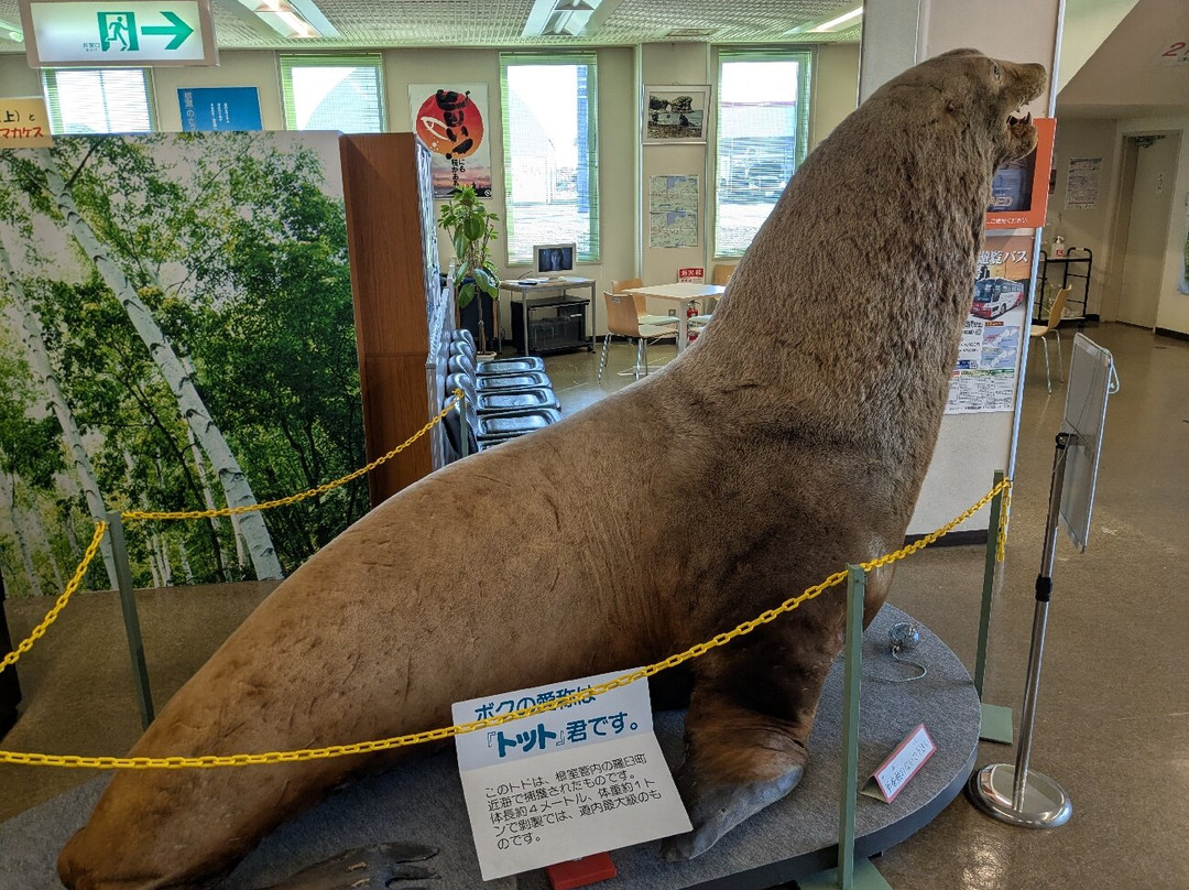 Nemuro City Hoppo Ryodo Museum-根室市必去景点