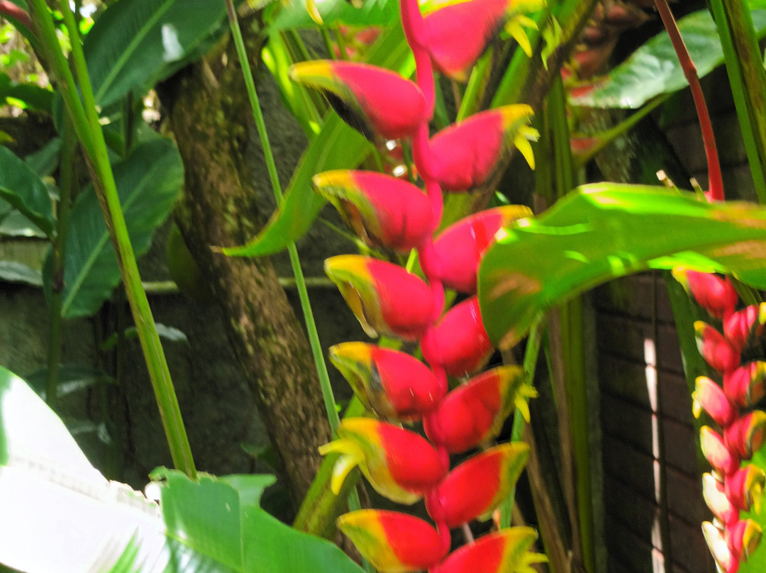 Ecomusee Creoleart de la Guadeloupe-Sainte Rose必去景点