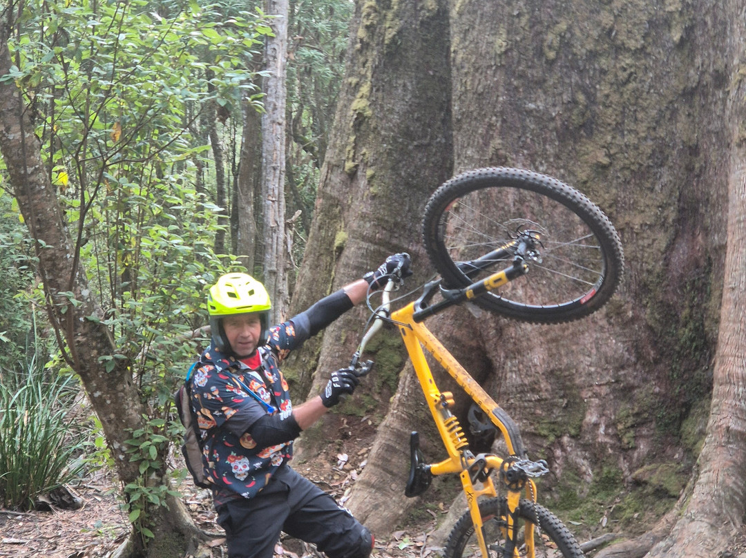 Mountain Biking Adventures Derby - MADMTB-Derby必去景点