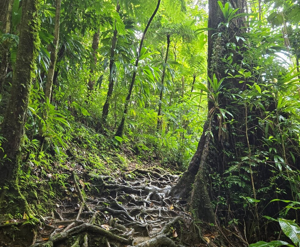 Middleham Falls-罗索必去景点