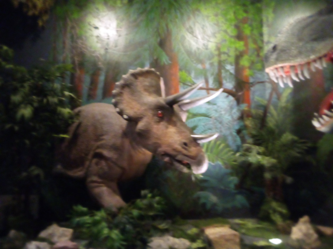 The Journey Museum-拉皮德城必去景点