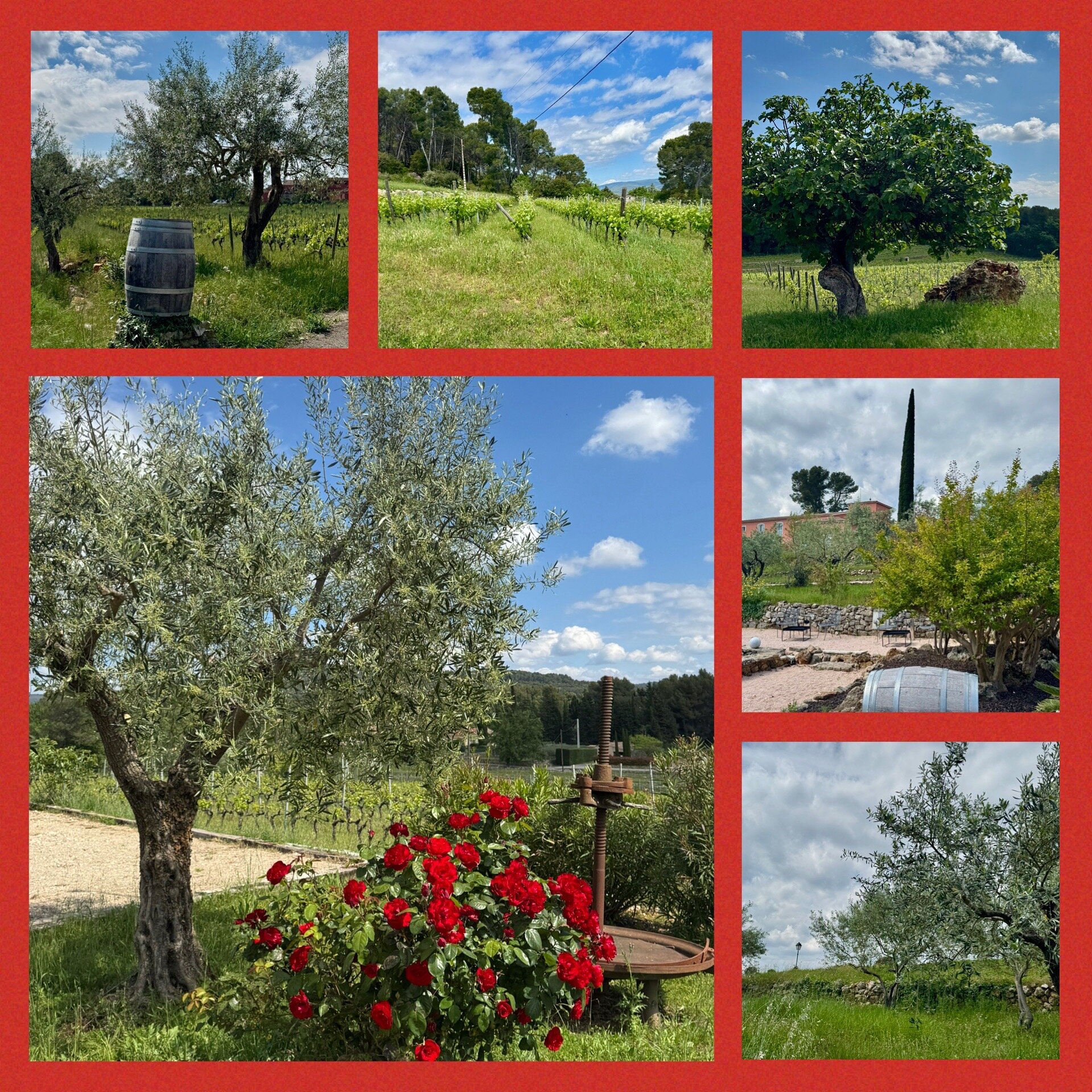 Domaine Rabiega-官方