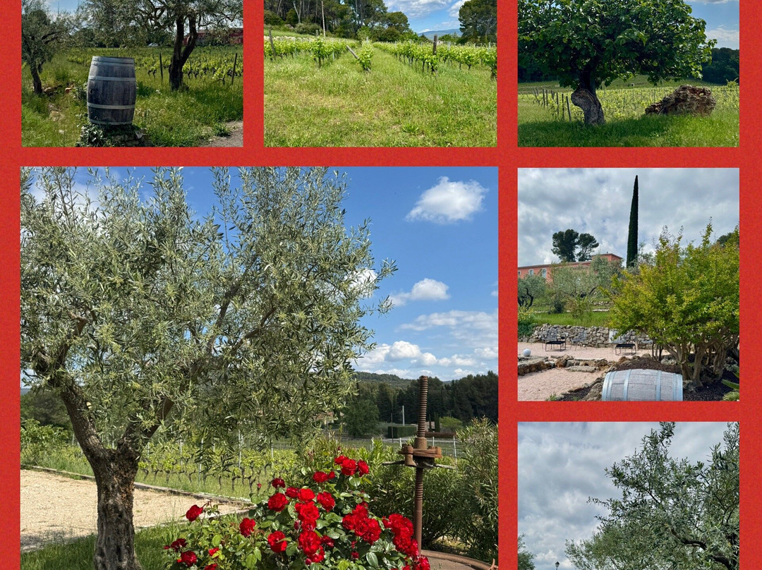 Domaine Rabiega主图