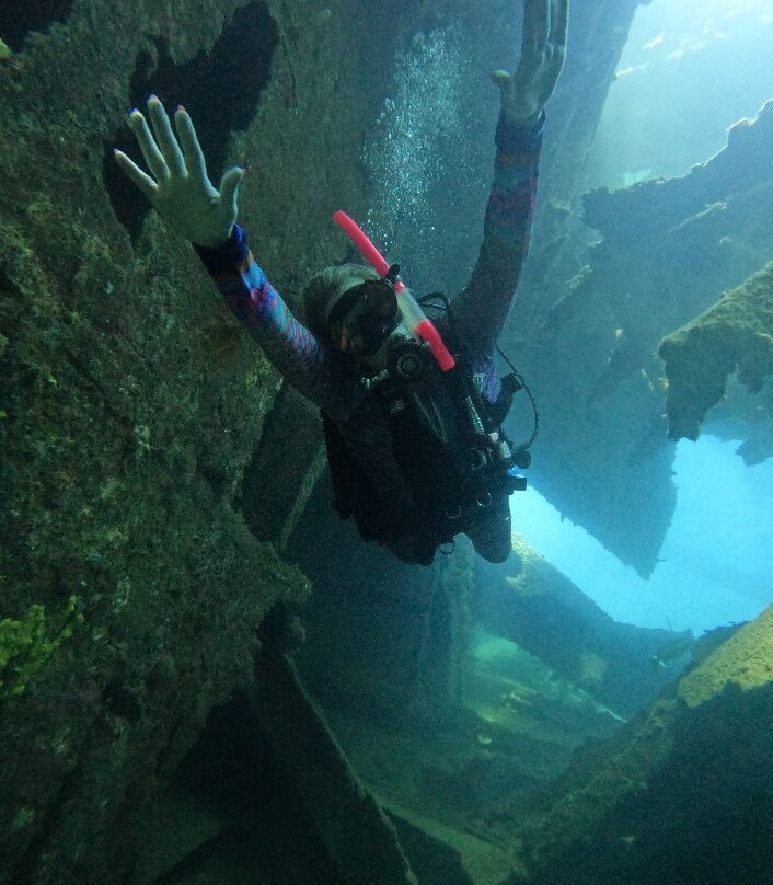 Aruba Bob Snorkel & Scuba-阿鲁巴岛必去景点