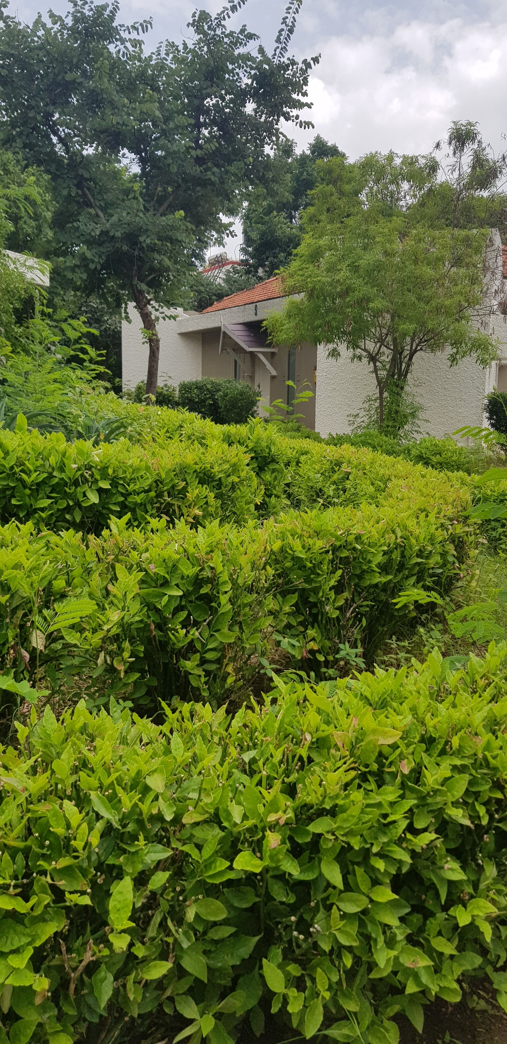 The Meadows Resort and Spa-客卧