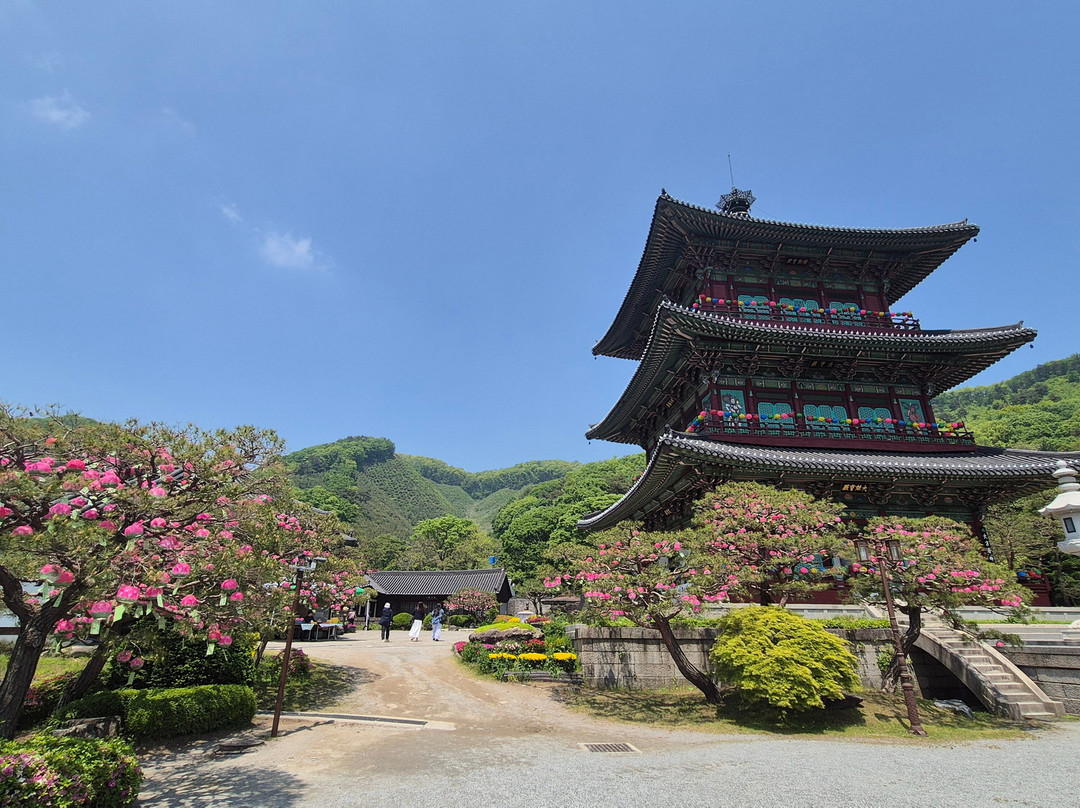 Botapsa Temple-镇川郡必去景点