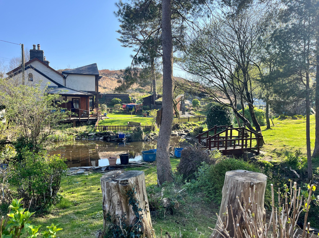 Bryn Elltyd eco Guest House主图
