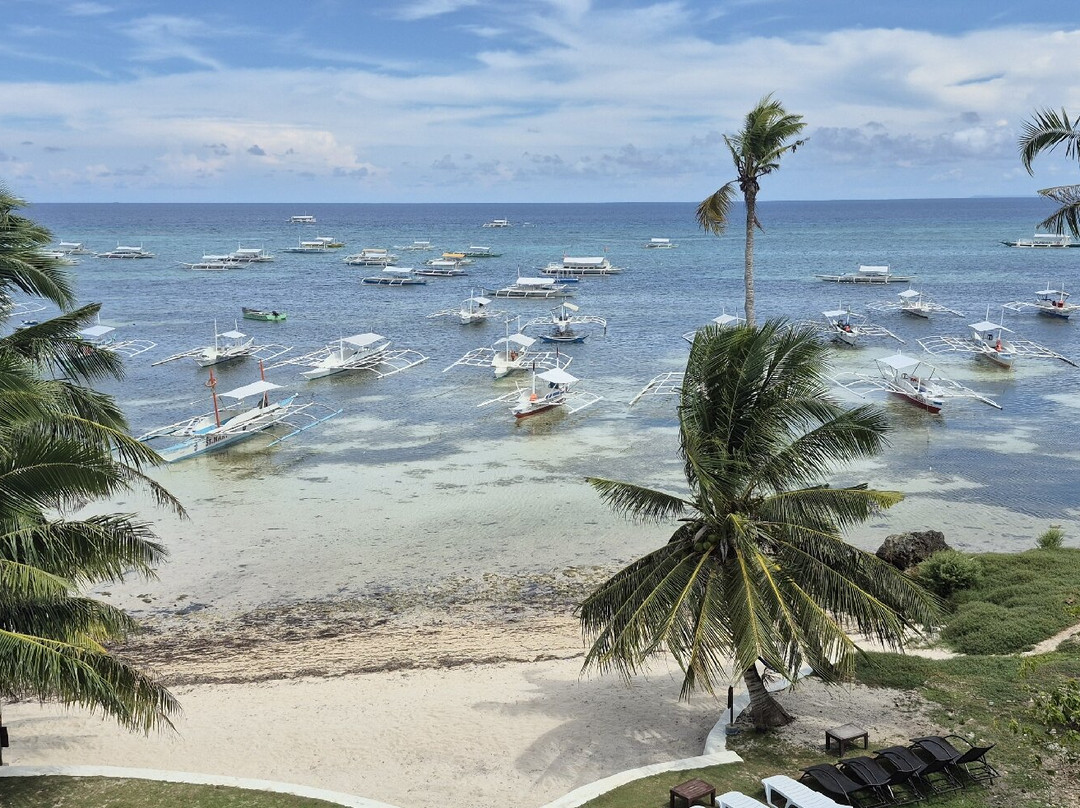 薄荷岛南部海滩酒店主图