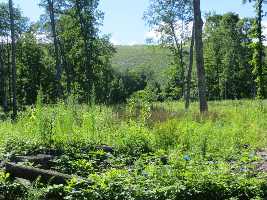 Dune Climb Inn主图