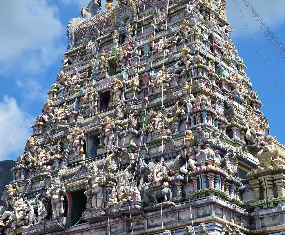 Arul Mihu Navasakthi Vinayagar Temple景点图片