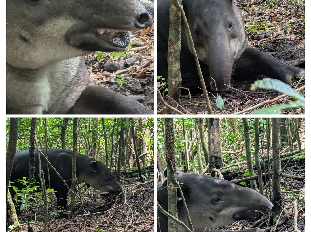Natuwa Wildlife Santuary-彭塔雷纳斯必去景点