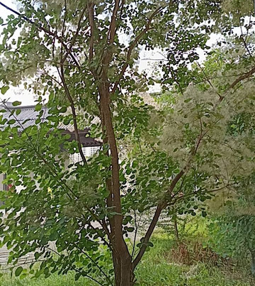 延安万达锦华酒店主图