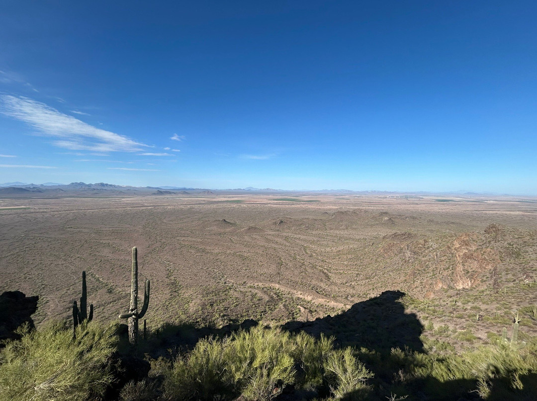 Picacho Peak State Park-Picacho必去景点
