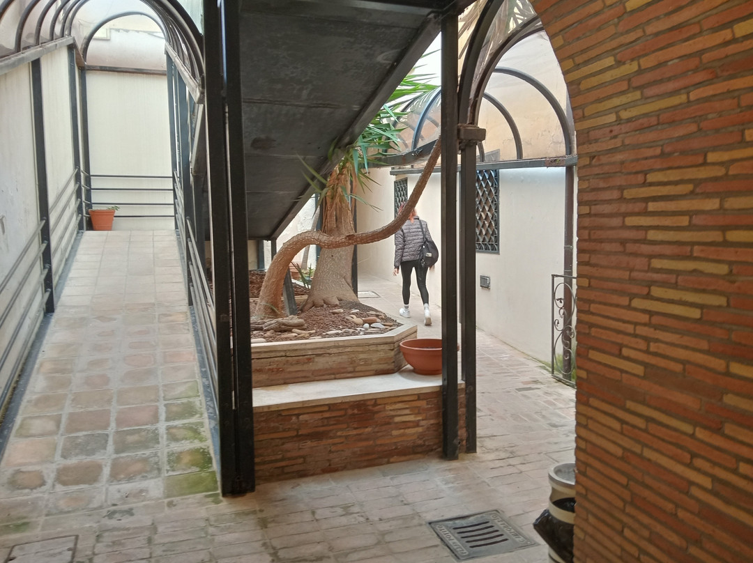 Corso de Parma-瓦斯托必去景点