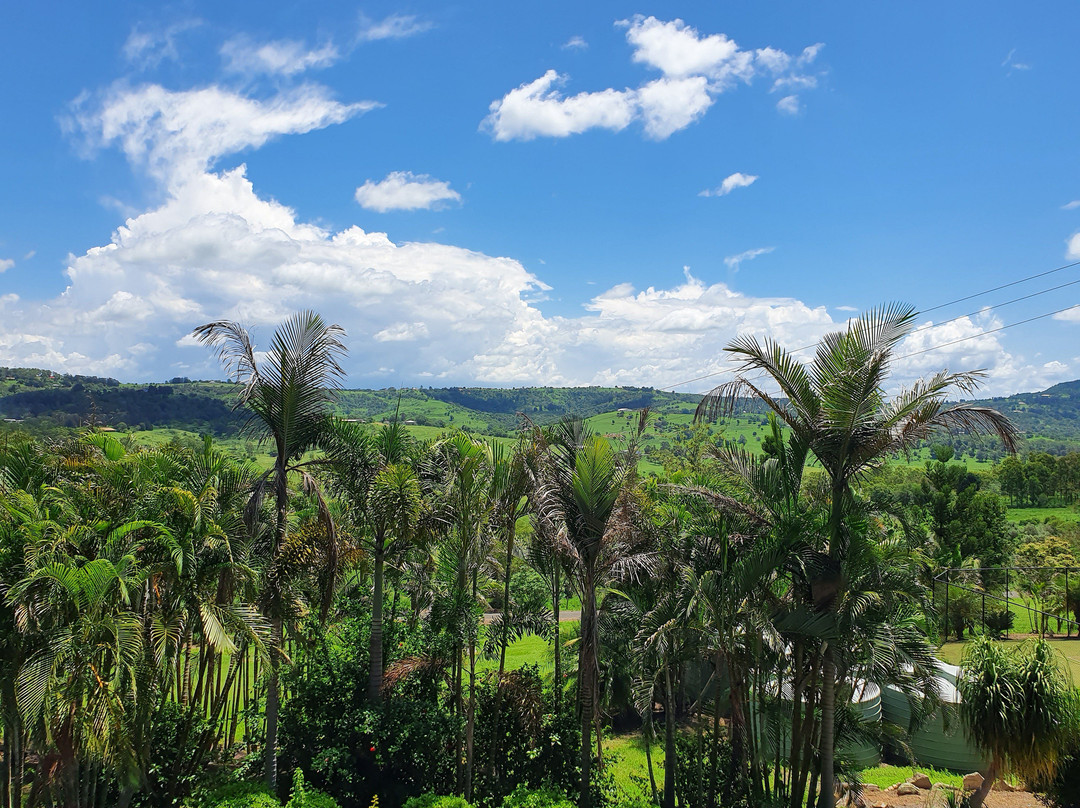 Woodlands of Marburg主图