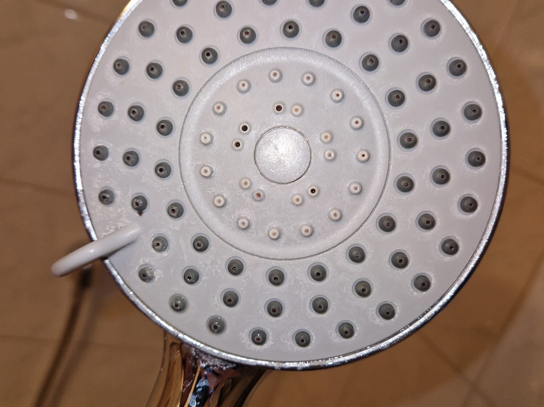 Hotel Gasthof - Thaneller主图